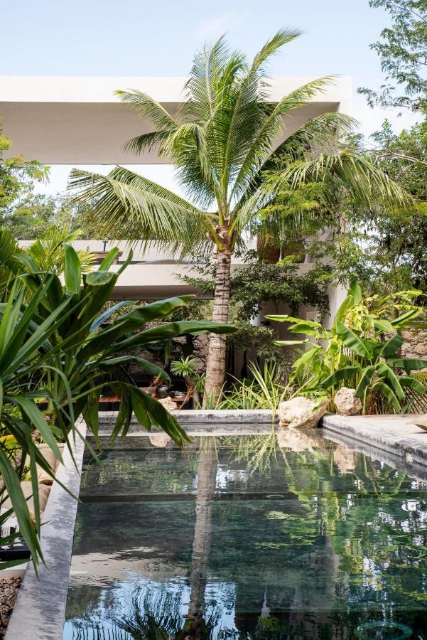 16Tulum Hotel ภายนอก รูปภาพ