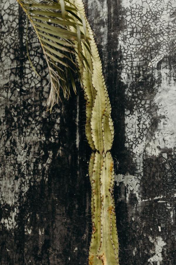 16Tulum Hotel ภายนอก รูปภาพ